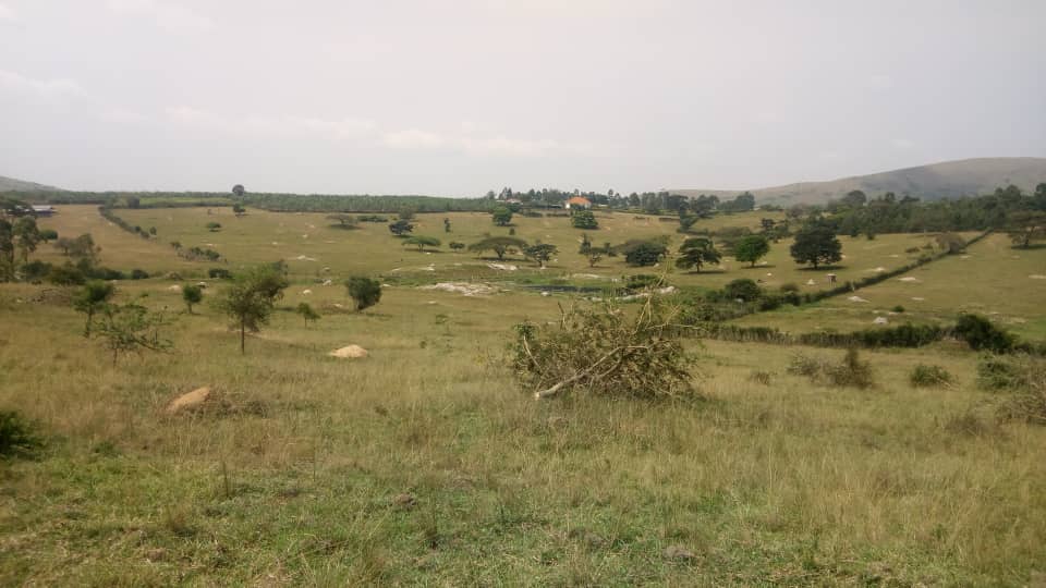 WhatsApp Image 2023-02-22 at 3.41.01 PM.jpeg